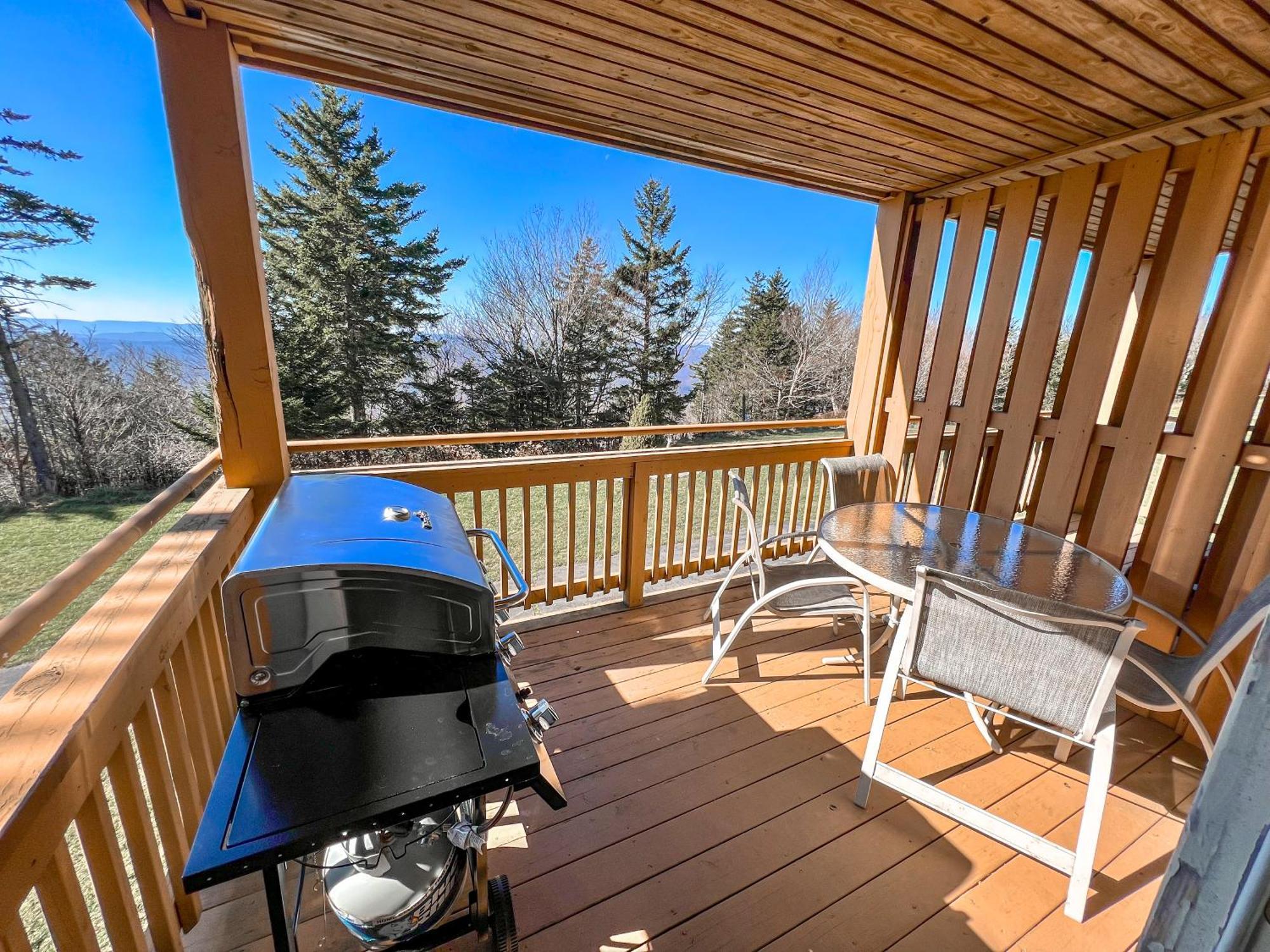 Remodeled Summit Condo At Snowshoe - Modern & Cozy Extérieur photo